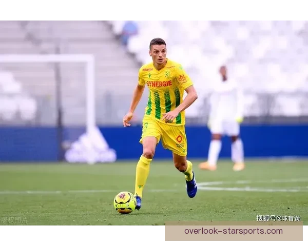 南特俱乐部百年征程与法甲荣耀复兴之路全景解析历史传承与未来展望